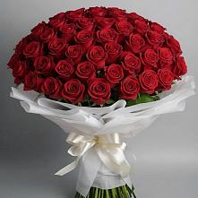 Букет 101 Красная роза Блэк Мэджик в Красном Октябре Ставропольского края