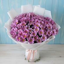 Букет цветов из:  Хризантемы в Красном Октябре Ставропольского края