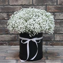 Цветочная композиция из Гипсофила в шляпной коробке #REPLACE_PRED# Красном Октябре Ставропольского края