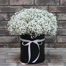 Цветочная композиция из Гипсофила в шляпной коробке в Красном Октябре Ставропольского края