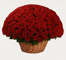 Премиум букет из: Розы в Красном Октябре Ставропольского края
