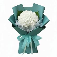 Букет цветов из:  Гортензия #REPLACE_PRED# Красном Октябре Ставропольского края